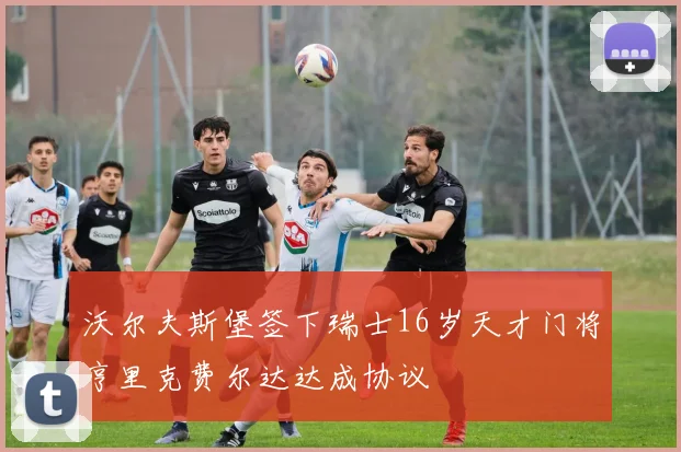 沃尔夫斯堡签下瑞士16岁天才门将亨里克费尔达达成协议