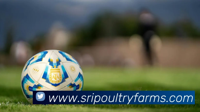 多彩内容专区